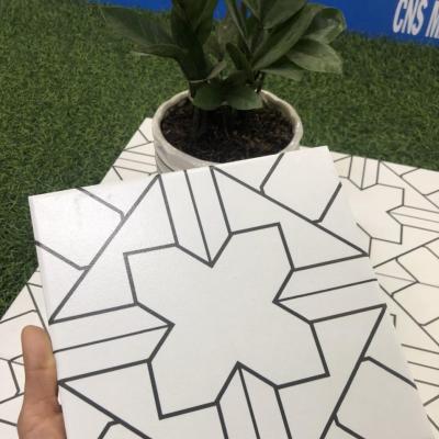 Gạch bông 20x20 TDT004