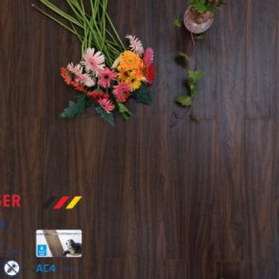 Moiser cốt trắng-12mm-MS100-MC107